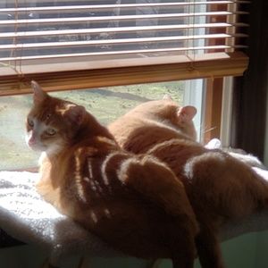 Meet your Posher, Mary